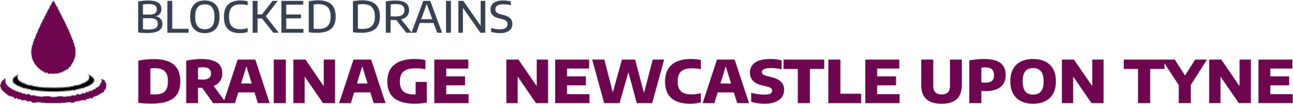 website logo